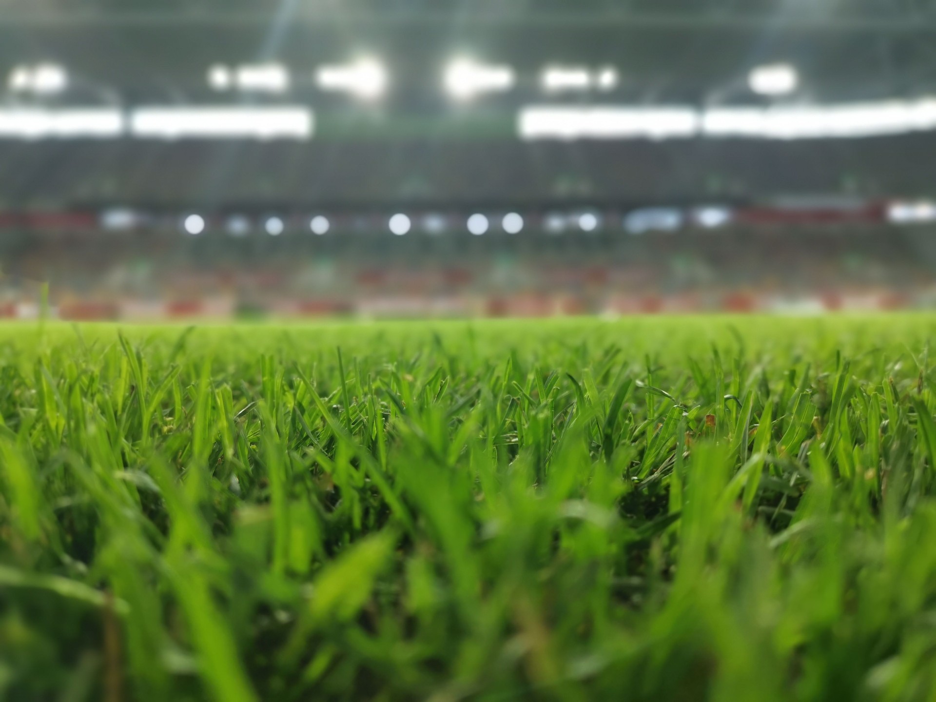 Close-up of green grass in a football stadium with spotlights